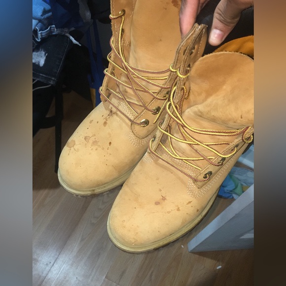 timberlands main image 2